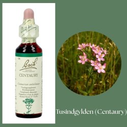 Bach� ORIGINAL FLOWER REMEDIES - Tusengyllen�rt (Centaury)  27% alkohol - 20 ml