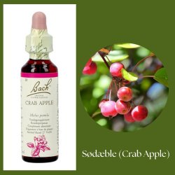 Bach� ORIGINAL FLOWER REMEDIES - S��er Apfel (Crab Apple) 27% Alkohol - 20 ml