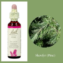 Bach� ORIGINAL FLOWER REMEDIES - Kiefernholz (Pine) 27% Alkohol - 20 ml