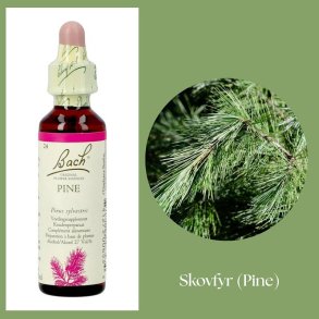 Bach� ORIGINAL FLOWER REMEDIES - Kiefernholz (Pine) 27% Alkohol - 20 ml
