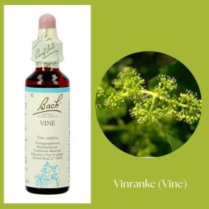 Bach� ORIGINAL FLOWER REMEDIES - Vinranke (Vine) 27% Alkohol - 20 ml
