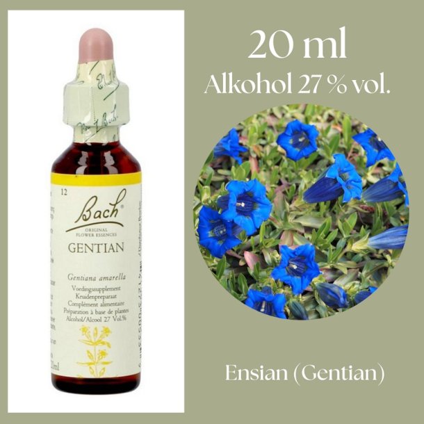 Bach� ORIGINAL FLOWER REMEDIES - Gentiana (Gentian) alkohol 27% vol. - 20ml