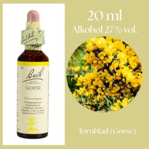 Bach� ORIGINAL FLOWER REMEDIES - Taggblad (Gorse) alkohol 27% vol. - 20ml