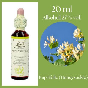 Bach� ORIGINAL FLOWER REMEDIES - Kaprifol (Honeysuckle) alkohol 27% vol. - 20ml