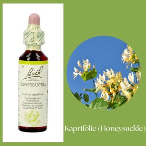 Bach� ORIGINAL FLOWER REMEDIES - Kaprifolie (Honeysuckle) 27% alkohol - 20ml