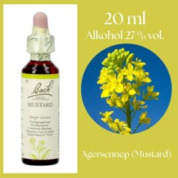 Bach� ORIGINAL FLOWER REMEDIES - F�ltsenap (Mustard) alkohol 27% vol. - 20ml