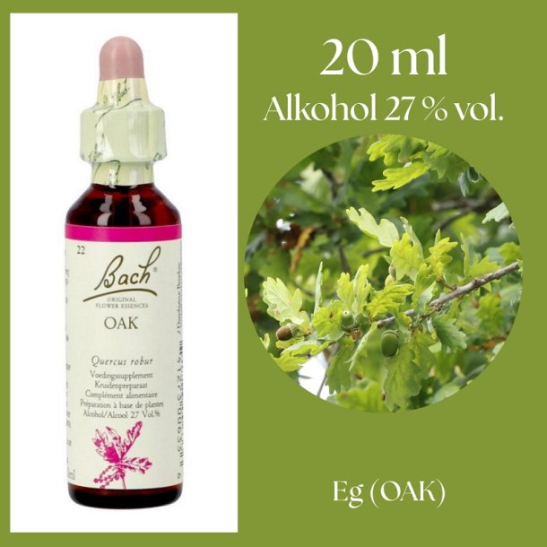 Bach� ORIGINAL FLOWER REMEDIES - Ek (OAK) alkohol 27% vol. - 20ml