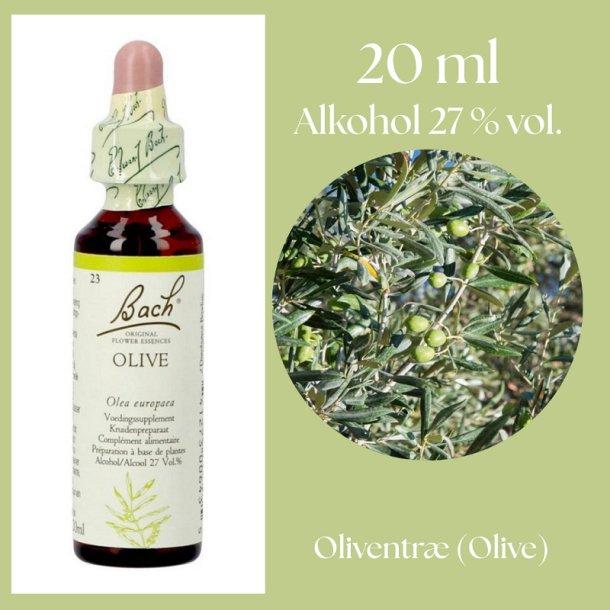 Bach� ORIGINAL FLOWER REMEDIES - Olivtr�d (Oliv) alkohol 27% vol. - 20ml