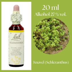 Bach� ORIGINAL FLOWER REMEDIES - Knopp (Schleranthus) alkohol 27% vol. - 20ml