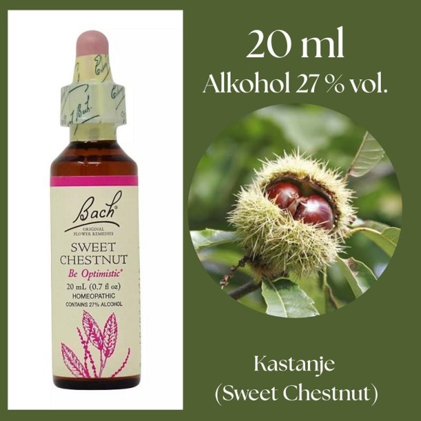 Bach� ORIGINAL FLOWER REMEDIES - �kta kastanj (Sweet Chestnut) alkohol 27% vol. - 20ml