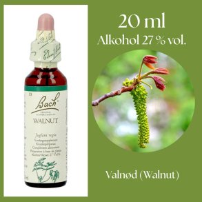 Bach� ORIGINAL FLOWER REMEDIES - Valn�t (Walnut) alkohol 27% vol. - 20ml