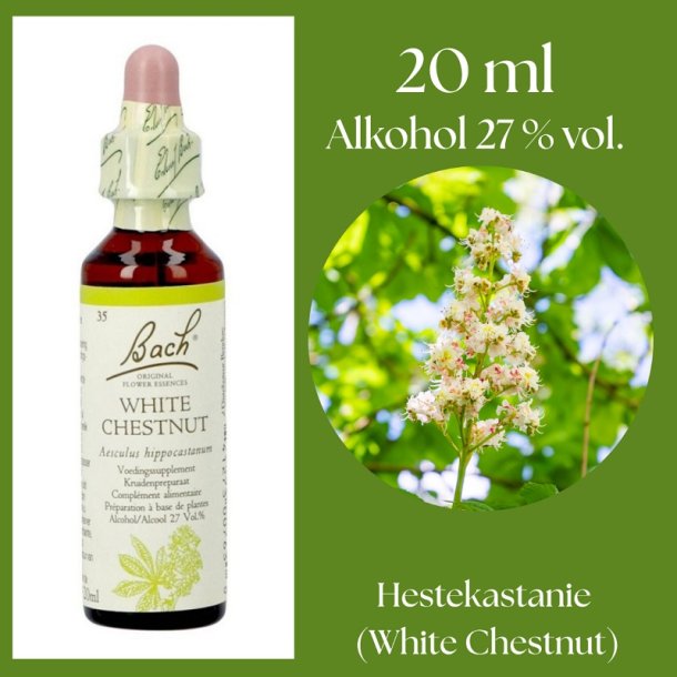 Bach� ORIGINAL FLOWER REMEDIES - H�stkastanj (White Chestnut) alkohol 27% vol. - 20ml