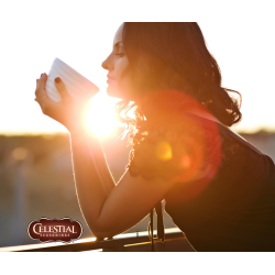 Celestial Seasonings - Sleepytime Lemon Jasmine - Green Tea