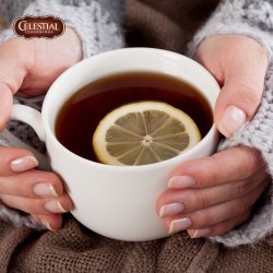 Celestial Seasonings - Lemon Zinger Tea