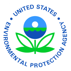 PRITI NYC - N209 - Alister Stella Gray Rose