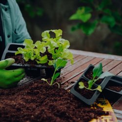 FAIR ZONE - Genanvendlig Sbakke - 6 rum 