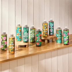 FAITH -IN- NATURE - Shampoo - Jojoba