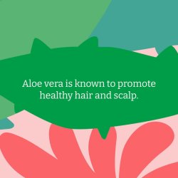 FAITH -IN- NATURE - Conditioner - Aloe Vera