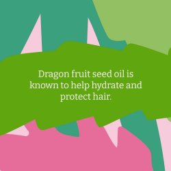 FAITH -IN- NATURE - Conditioner - dragon fruit
