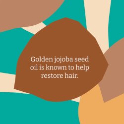 FAITHFAITH -IN- NATURE - Conditioner - jojoba