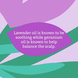 FAITH -IN- NATURE - Conditioner - lavender &amp; geranium