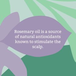 FAITH -IN- NATURE - Conditioner - rosemary