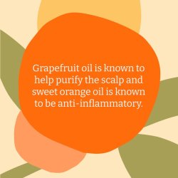 FAITH -IN- NATURE - Shampoo - Grapefruit &amp; Orange