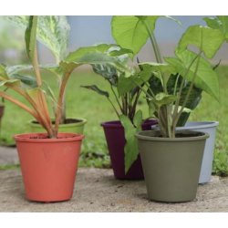 FAIR ZONE - 6-pak genanvendelig Urtepotter - naturgummi