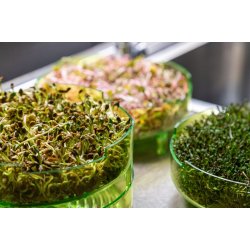 GEO GREENS - 4-laags kiemtoren voor zaden