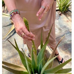 GreenEtiq Denmark - Bio Lifting &amp; Anti-Age Serum