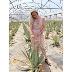 GreenEtiq Denmark - Bio 98% Pure Aloe Vera Gel