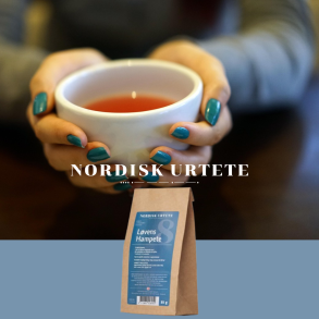 NORDIC HERBAL TEA - N8 - LEJONETS HAMPA-TE 