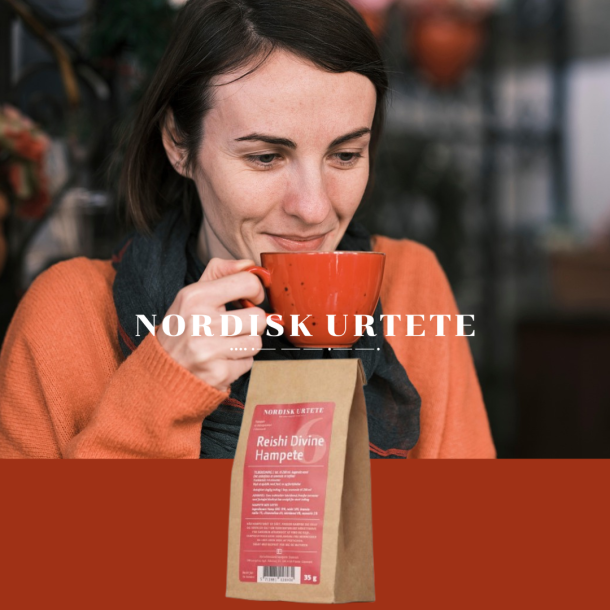 NORDIC HERBAL TEA - N6 - REISHI DIVINE HEMP TEA 