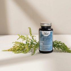 Nani - Zink - 60 vegetarische Kapseln