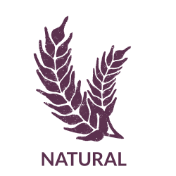 UDGR - Lamazuna - kologisk Solide Parfume Refill - Pine Needles and wood Notes