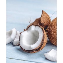 Nurme - Pure fractionated coconut oil