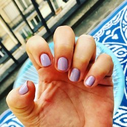 PRITI NYC - N374 - Empress Tree - Spring | Summer Collection 2025