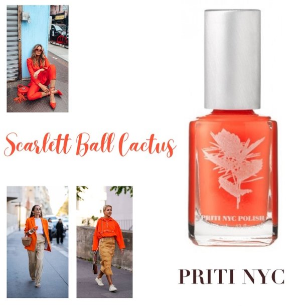 PRITI NYC - N425 - Scarlett Ball Cactus 