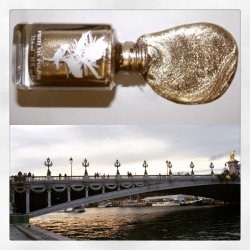 PRITI NYC - N681 - Chrysanthos