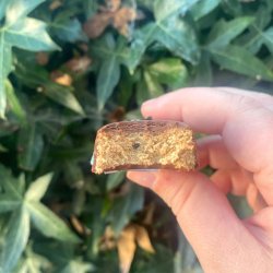 DATOVARER BEDST F�R 25.04.2026 - PULSIN - Proteinbar glutenfri Choc Fudge