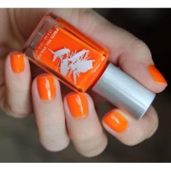 PRITI NYC - N425 - Scarlett Ball Cactus 