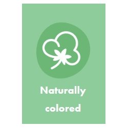 THE ECO GANG - Bamboo Swabs