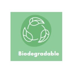 THE ECO GANG - 5-pack disposable scraper - biodegradable