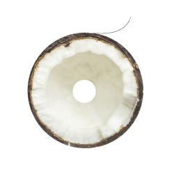 TIO - Tandtrdsdispenser - genanvendelig 