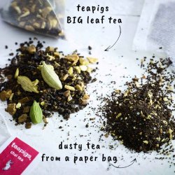 teapigs - chai tea - masala dream