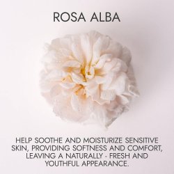 Alteya Organics - Alba White Rose Water - zero Waste 120ml