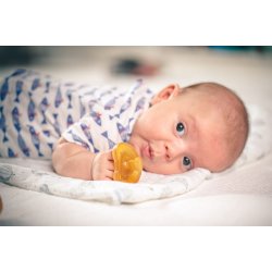 BABY POP - Butterfly anatomic natural rubber pacifier - 0-6m