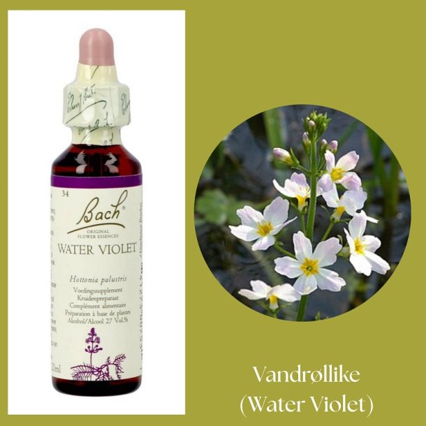 Bach� ORIGINAL FLOWER REMEDIES - Schafgarbe (Water Violet) 27% Alkohol - 20 ml