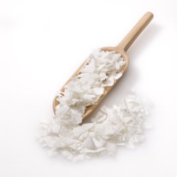 biogan - kologiske kokoschips - r