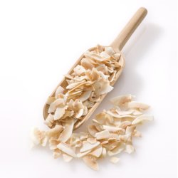 biogan - kologiske kokoschips - ristede